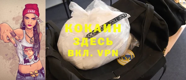ГАЛЛЮЦИНОГЕННЫЕ ГРИБЫ Аркадак