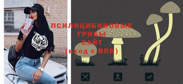 крисы Баксан