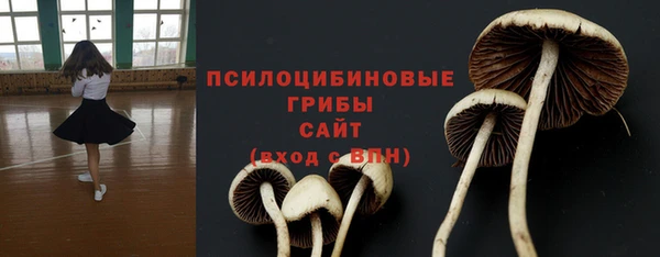 крисы Баксан
