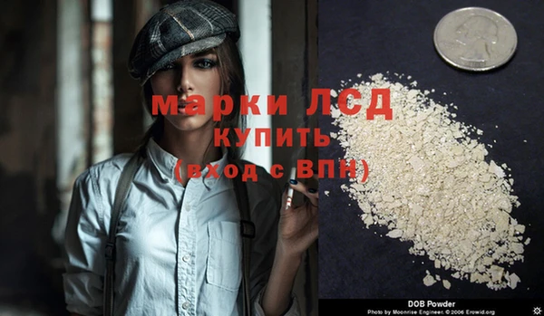 крисы Баксан