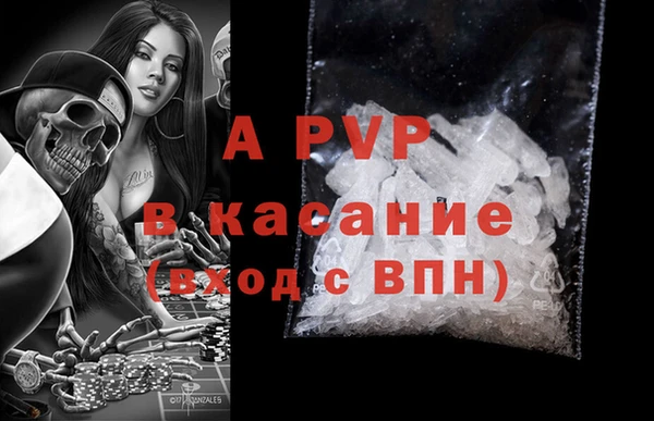 крисы Баксан
